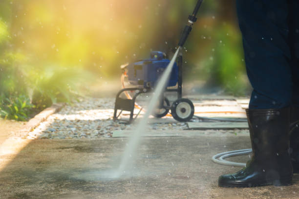 Animal Enclosure Cleaning in Spanish Fort, AL